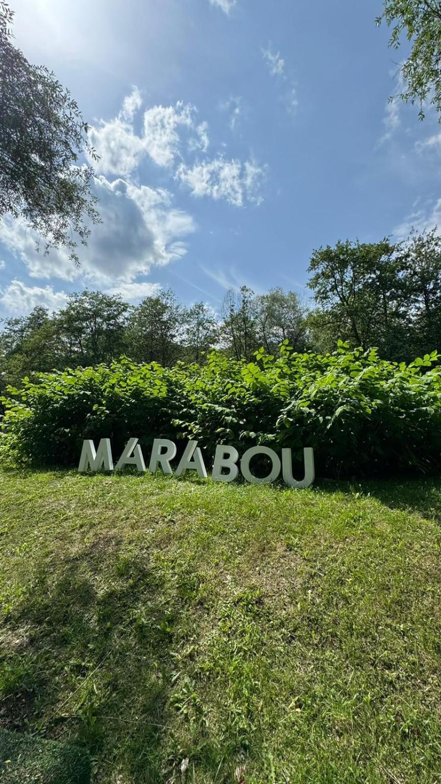 Marabou Resort Braşov Exteriör bild