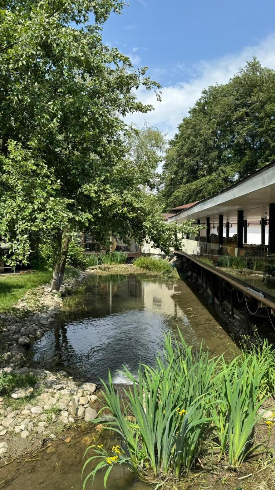 Marabou Resort Braşov Exteriör bild