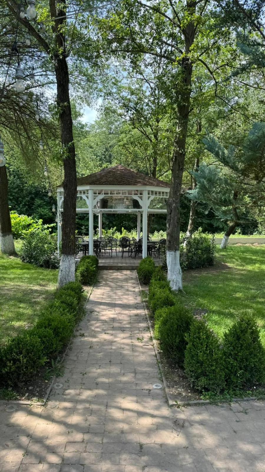 Marabou Resort Braşov Exteriör bild